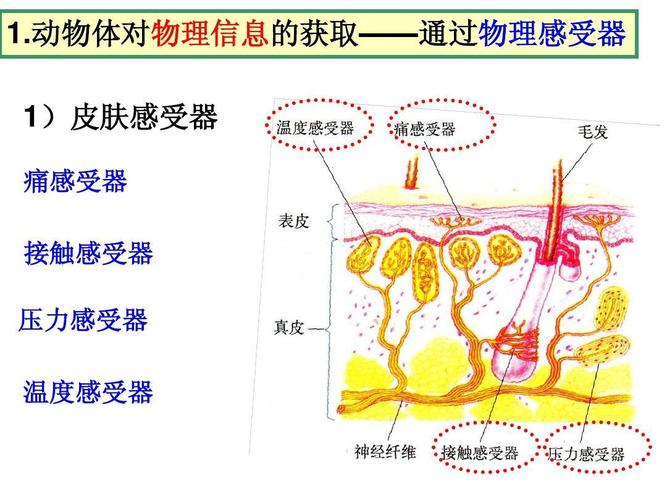 温度传感器：感知世界温度的“触角”