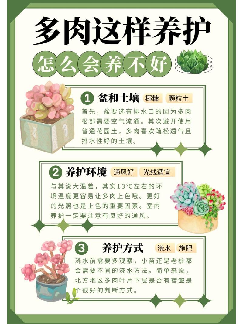 详细阅读:探秘绿植养护难度:多维度解析与应对策略 探秘绿植养护难度:多维度解析与应对策略