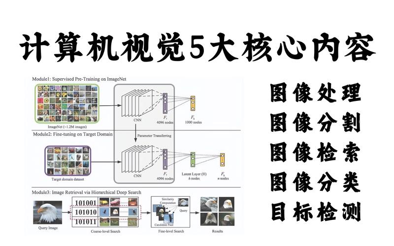 图形处理器：数字世界的视觉核心与技术演进