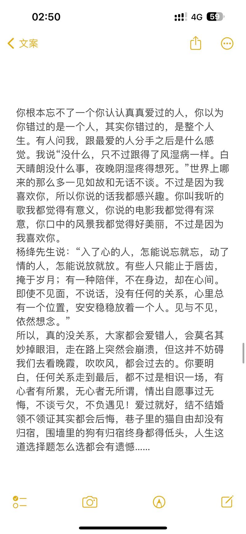 携手共赴，心有灵犀一点通：情侣间情感共鸣的深度探索