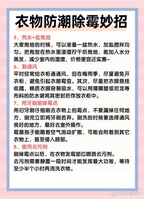 衣物防虫防霉全攻略：守护衣物的洁净与美好