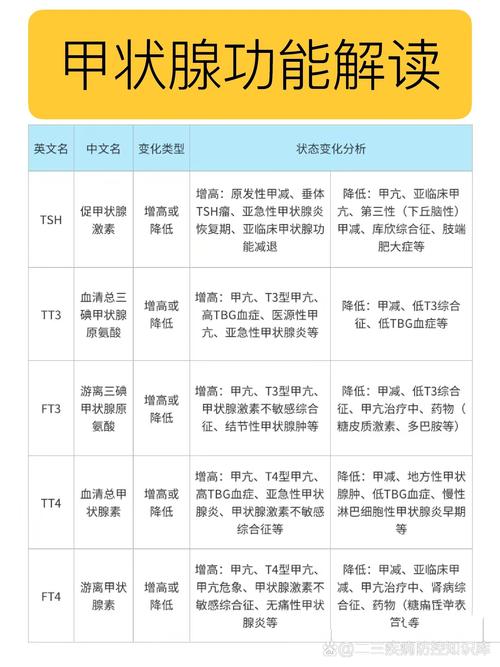 甲状腺疾病全解析
