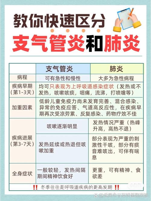 支气管炎：全面解析与应对策略