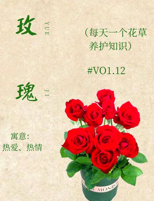 提升恋爱满意度：让爱情之花绚烂绽放