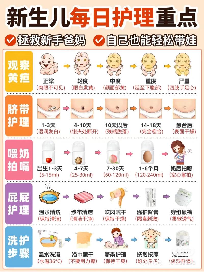 全面解析婴儿护理：呵护宝宝健康成长的必修课