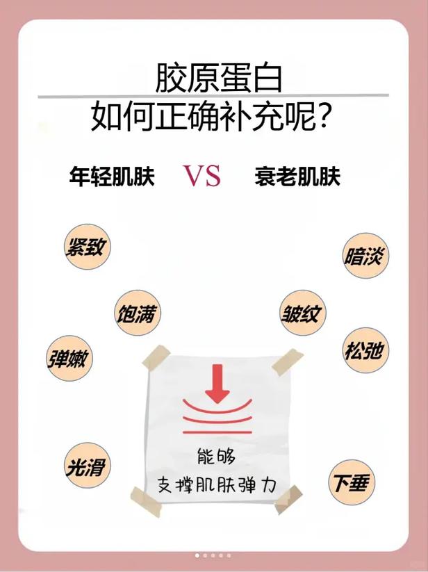 胶原蛋白补充效率：科学解析与高效策略