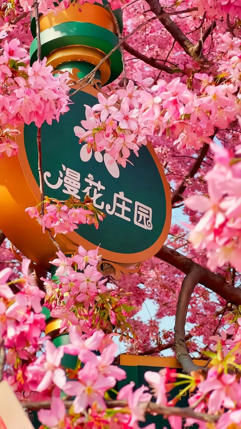 漫花庄园：自然与诗意的完美邂逅