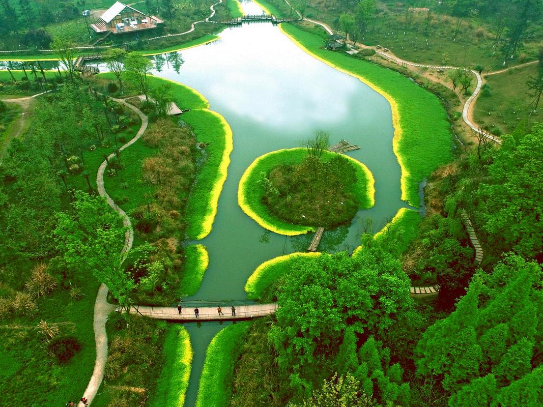 探秘桤木河湿地公园：生态与文化的完美交融