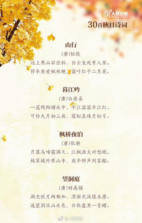 详细阅读:东篱菊园:秋日里的诗意栖居 东篱菊园:秋日里的诗意栖居