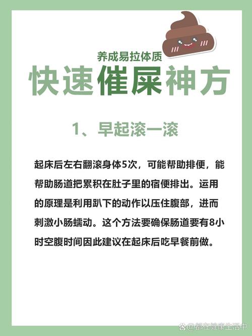便秘的防治全攻略：从根源出发，守护肠道健康