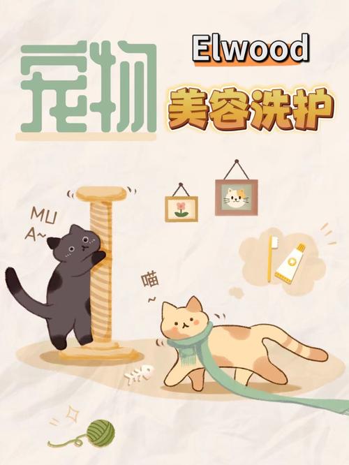 美容护肤与宠物陪伴：双重生活美学的奇妙交融