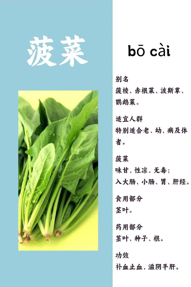 菠菜：大自然馈赠的营养瑰宝