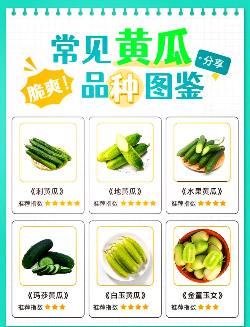 黄瓜：从田园到餐桌的奇妙之旅与多元魅力