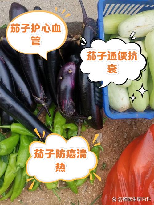 详细阅读:茄子:营养丰富的蔬菜瑰宝 茄子:营养丰富的蔬菜瑰宝