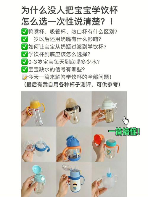 学饮杯使用方法全解析