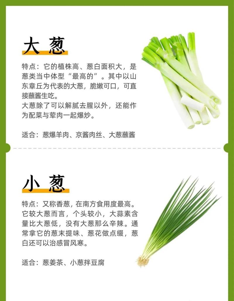 大葱：平凡食材中的不凡韵味与多元魅力