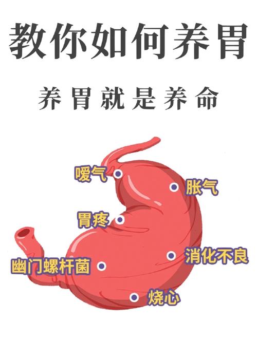 养胃之道，守护健康：全方位养胃养生攻略