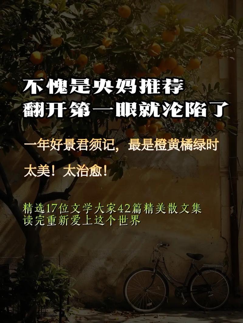 橘子：时光里的一抹甜香，岁月深处的别样温情