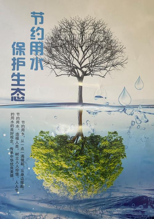 节约用水，从点滴做起，共筑生命之源的可持续未来