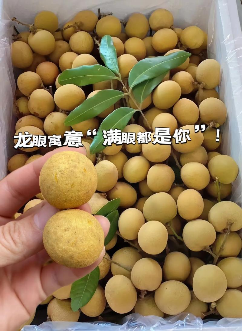 龙眼：时光里的清甜宝藏