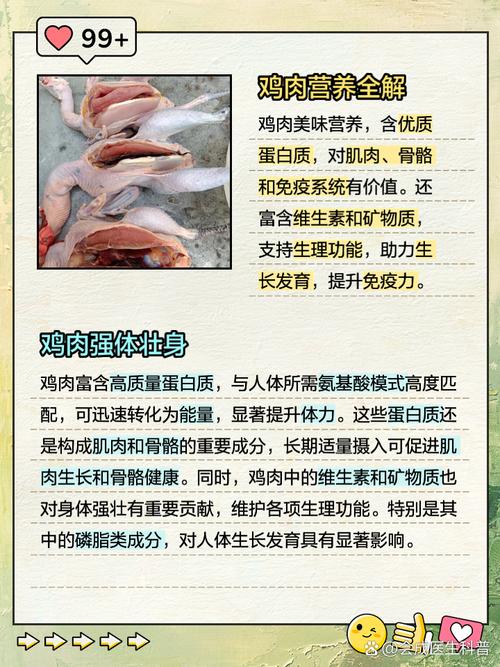 鸡肉：从历史到现代的美食传奇
