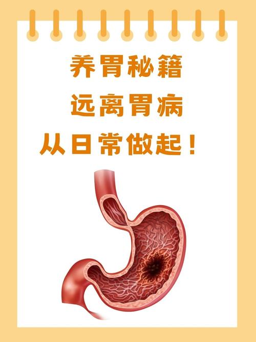 详细阅读:护胃养生:开启健康生活的金钥匙 护胃养生:开启健康生活的金钥匙