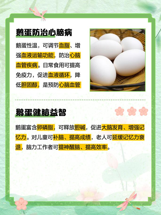 鹅蛋：餐桌上的营养明珠，自然馈赠的美味宝藏