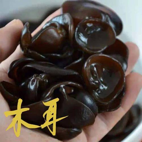 木耳：大自然馈赠的黑色瑰宝