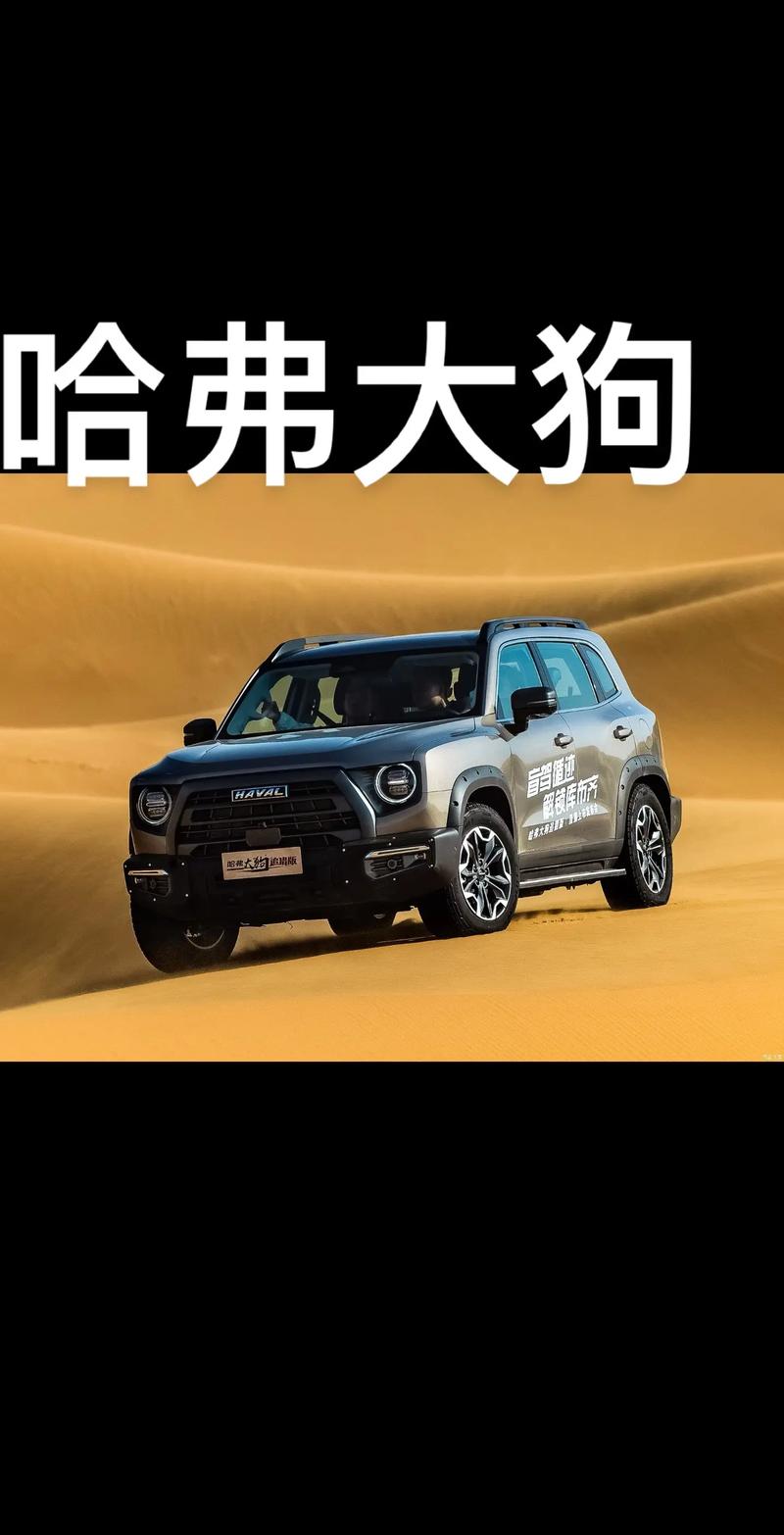 探索哈弗大狗：一款兼顾城市与越野的理想伙伴