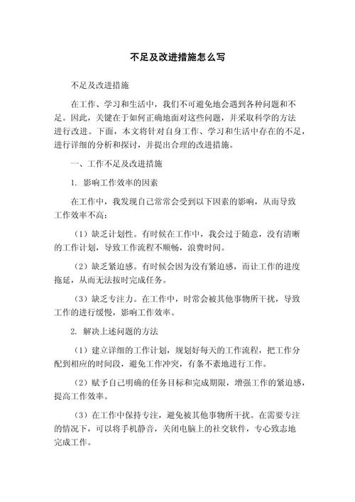 关于[项目名称/工作事项]的不足改进调整方案