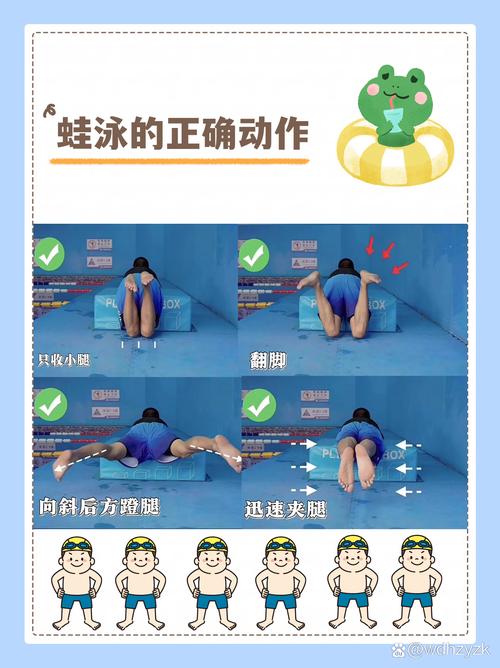 蛙泳的技巧与练习：探索高效泳姿的秘诀