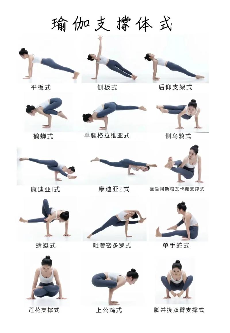瑜伽的基本体式：解锁身心和谐的密码