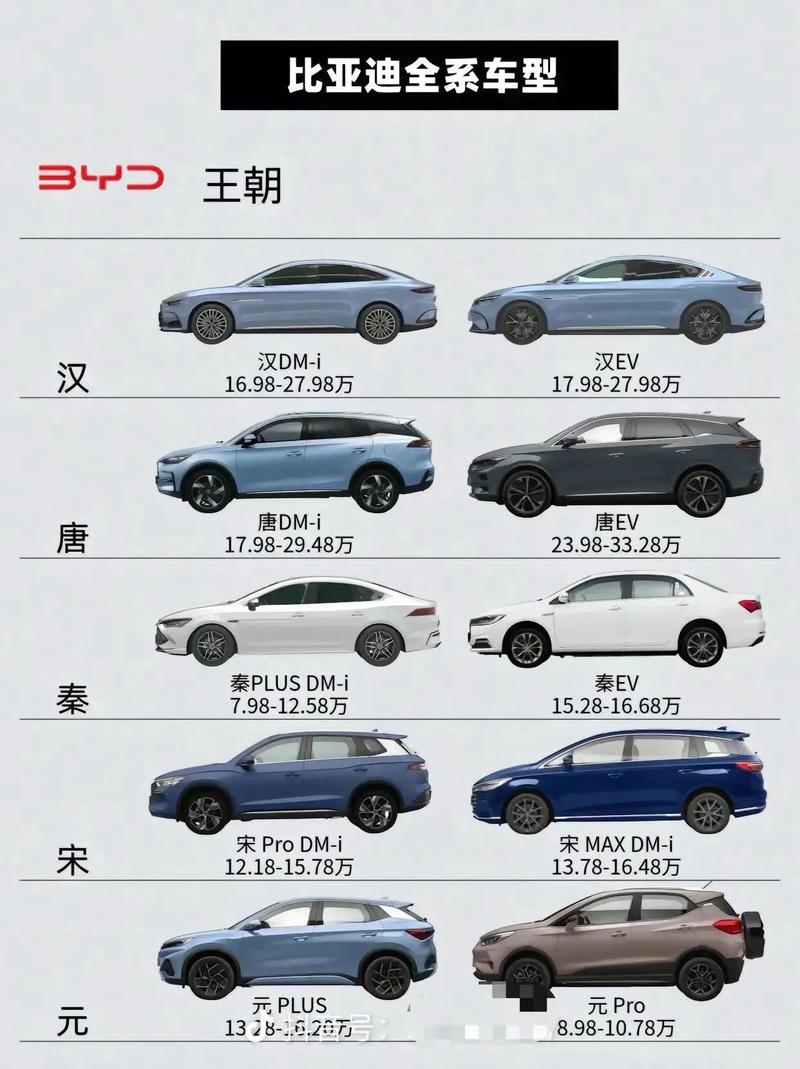 新能源汽车巨头——比亚迪的全方位解读