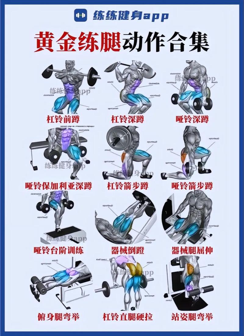 男性健身全攻略：塑造健康体魄与完美线条