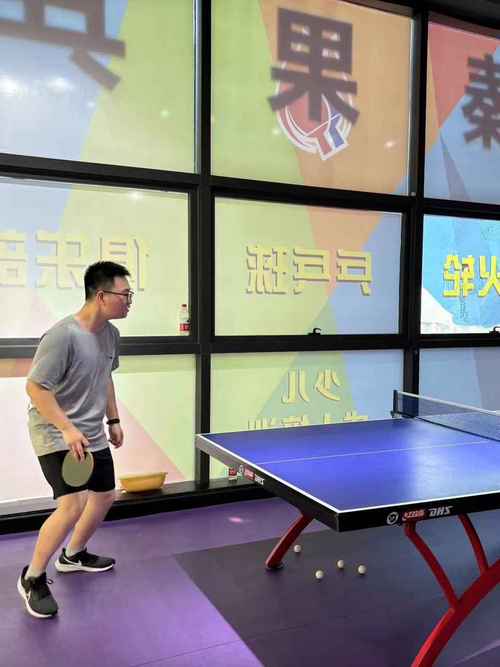 乒乓跃动：小球之上，旋舞激情岁月