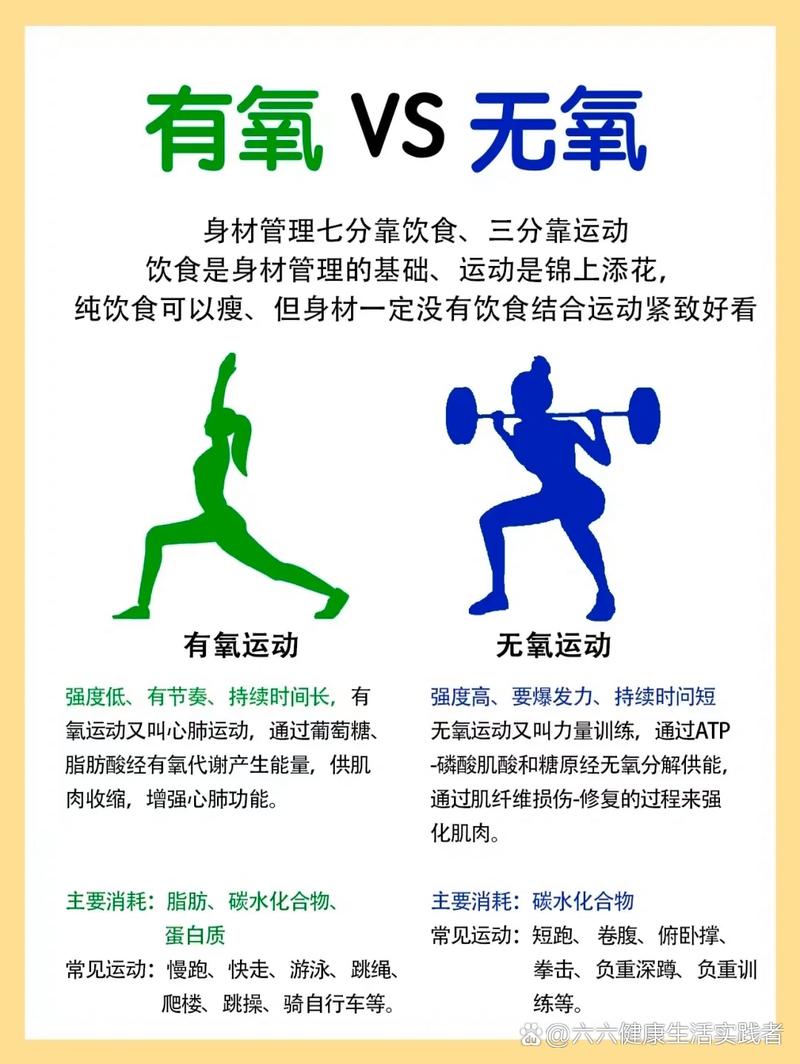 运动与呼吸系统健康的深度关联：开启活力与健康的共生密码