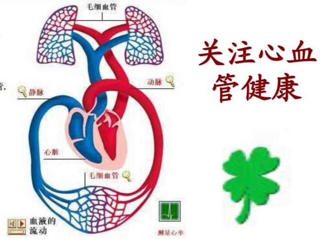 运动：心血管健康的“活力密码”