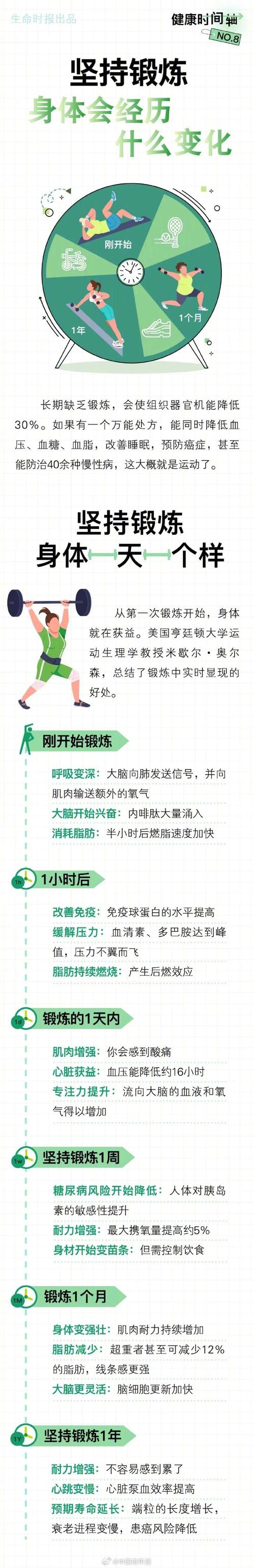 运动：身体代谢的活力密码与健康引擎