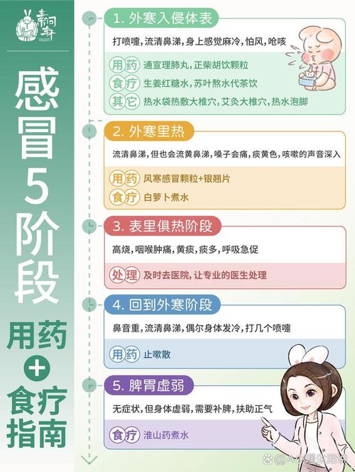 感冒的奥秘：从症状到康复的全方位解析