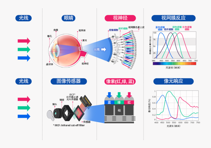 图像传感器：数字世界的“视觉之源”
