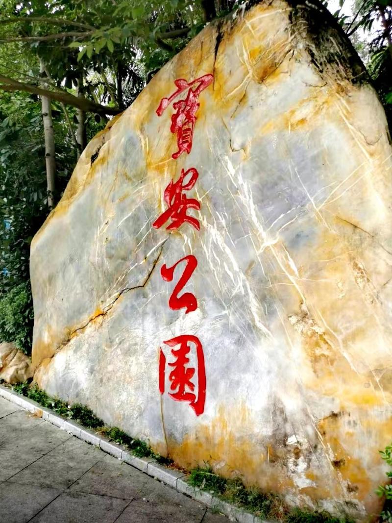 《宝安公园——城市绿肺与休闲胜地》