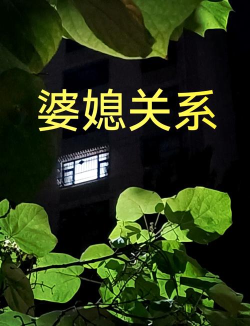 婆媳关系：从矛盾到和谐的破冰之旅
