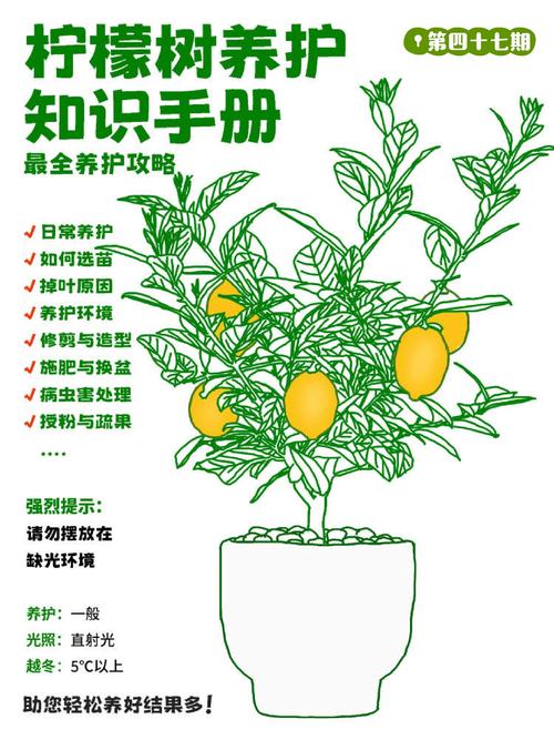 柠檬种植：从理论到实践的全面指南