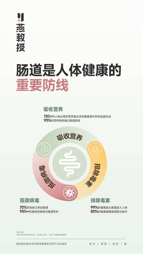 膳食纤维：健康肠道与活力生活的源泉
