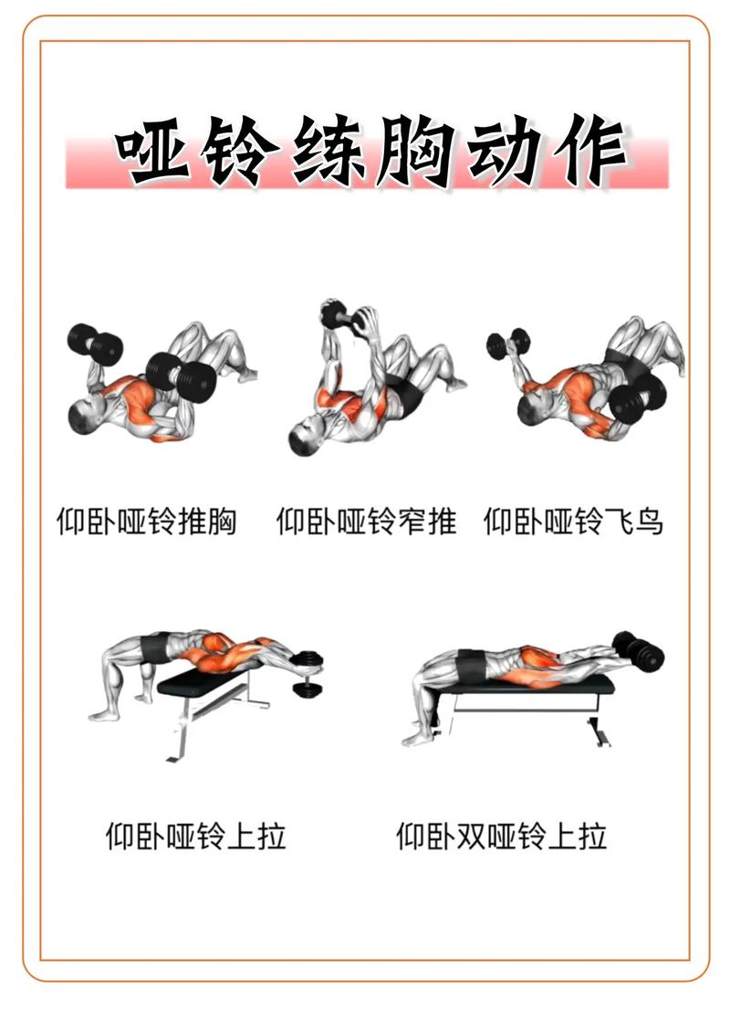 哑铃训练：雕琢身心的全方位指南