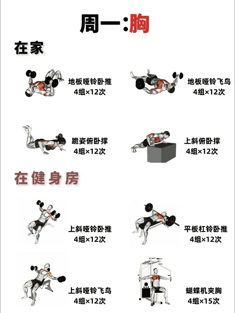力量训练：塑造强健体魄与坚韧意志的必经之路