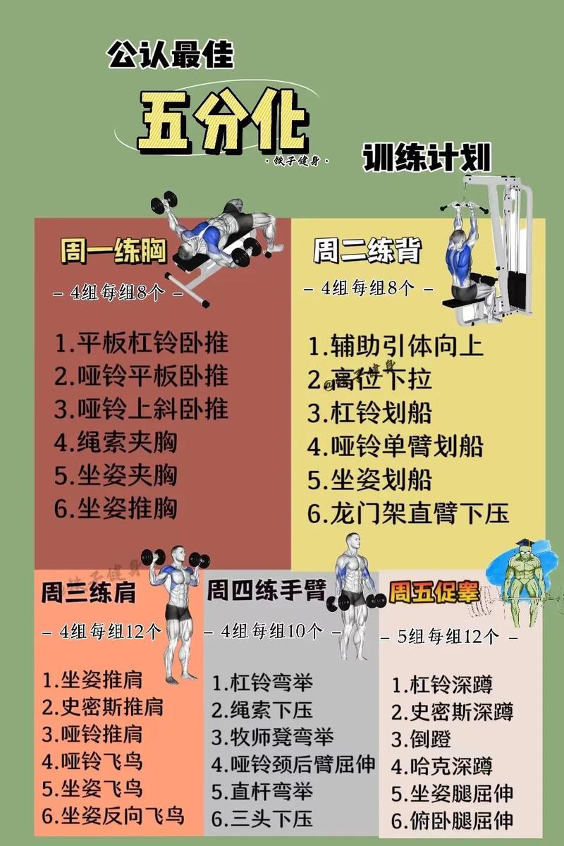 力量训练计划：塑造强壮体魄与坚韧意志