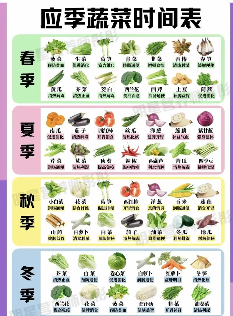 应季蔬菜：大自然馈赠的健康宝藏与烹饪灵感