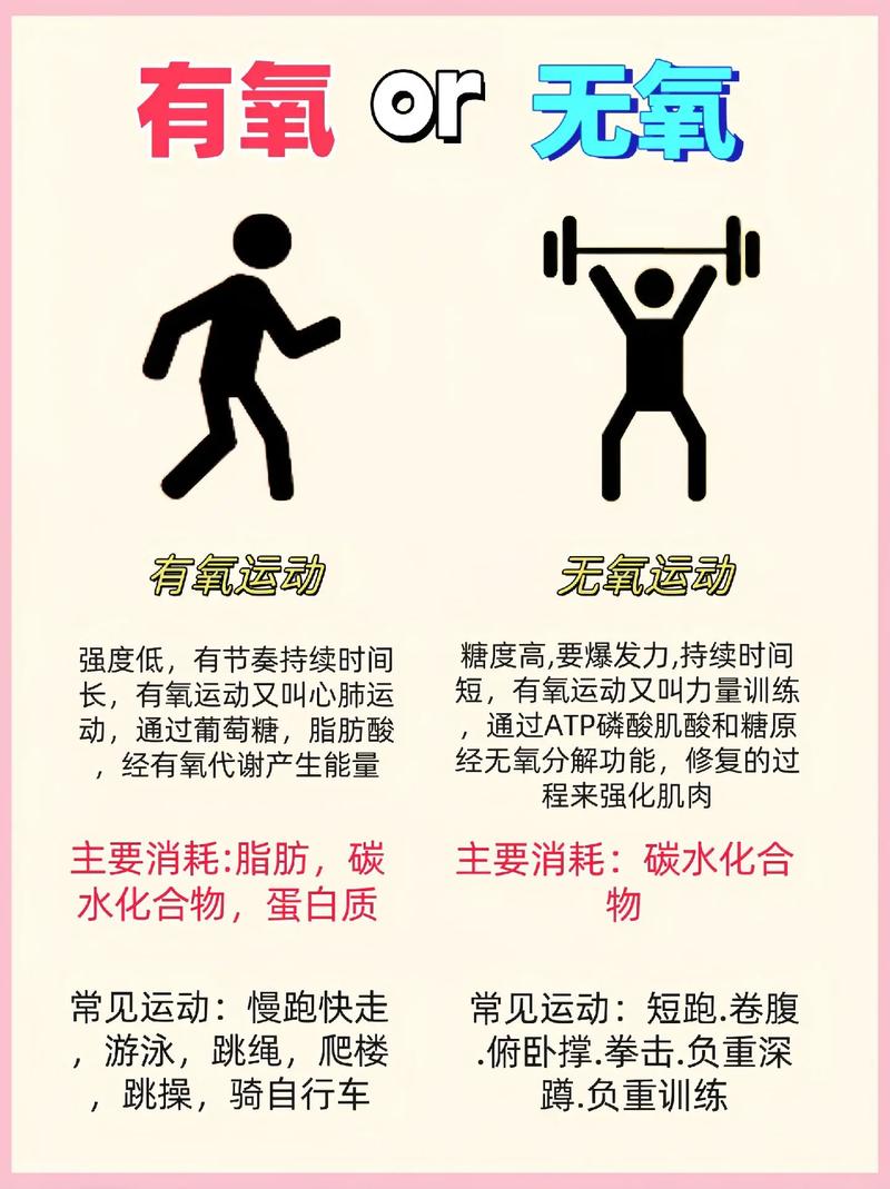 有氧无氧结合：全方位健身新策略