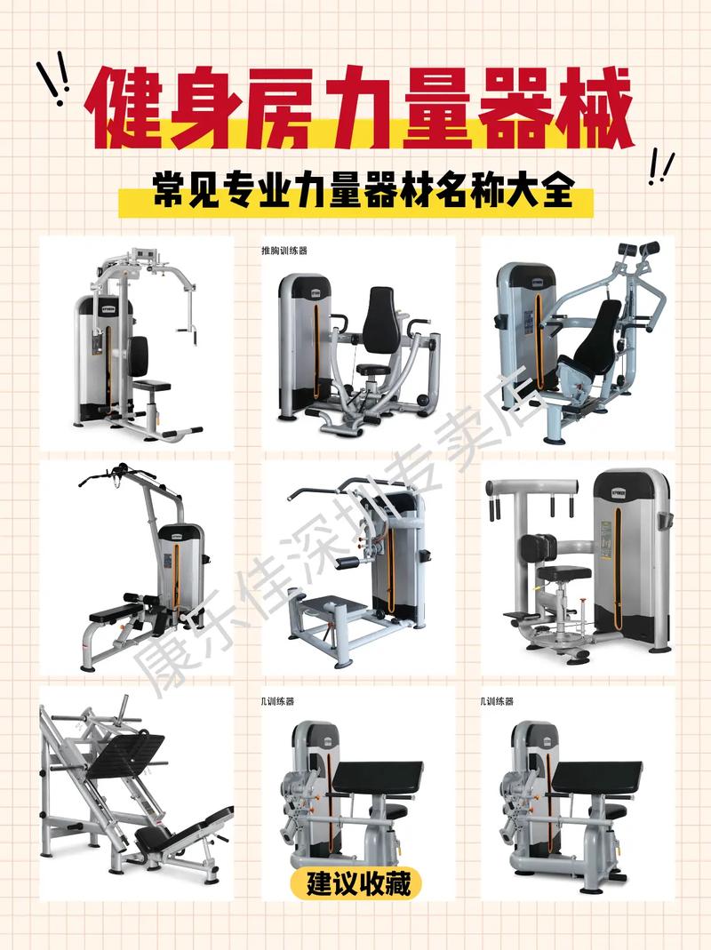 详细阅读:健身器材选购全攻略:打造理想健身空间 健身器材选购全攻略:打造理想健身空间